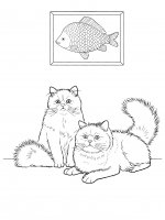 disegni/gatti/gatti_cats_ 23.jpg